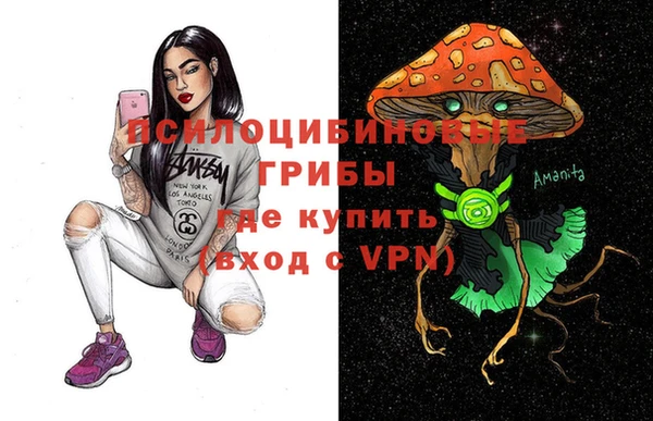 амф Алексеевка